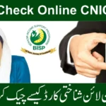8171 Check Online CNIC 2025 – Benazir Income Support Program Full Guide