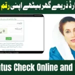 BISP.gov.pk 8171 Status Check Online 2025 Latest Update – Full Guide via SMS & Portal