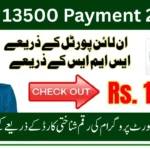 How to Check BISP 8171 13500 Payment by CNIC 2025 – Complete Guide