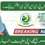 BISP 8171 CNIC Balance Check 2025 – How to Verify Rs.12000 / Rs.13500 Payment Online
