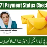 BISP 8171 Payment Status Check Offline | CNIC Verification Guide 2025