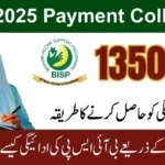 BISP 8171 Payment Collection via Campsite and Bank Account 2025 (Step-by-Step Guide)