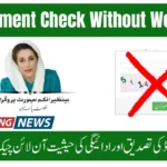 BISP Payment Check Without Portal 2025 – Easy CNIC Method (November Update)