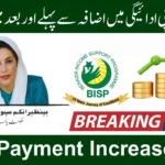 BISP Payment Increase 2026 – Latest Updates (Complete Beneficiaries Guide)