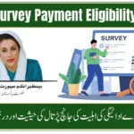 BISP Survey 2025 Payment Eligibility – Check Status and Application Guide