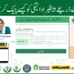 How to Check BISP Payment 2025 by CNIC Number – Online, SMS, and App Guide