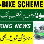 PM Electric Bike and Rikshaw Scheme 2025 – Apply Online at Pave.gov.pk