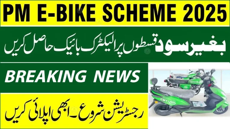 PM Electric Bike and Rikshaw Scheme 2025 – Apply Online at Pave.gov.pk