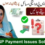 8171 BISP Payment Issues 2025 – Common Problems & Solutions