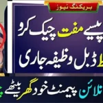 8171 Ehsaas Program 2025 – Check New Registration Online via CNIC