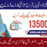 8171 Ehsaas Program 2025 – Check CNIC Online and Register via Official BISP Portal