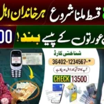 8171 Ehsaas Program 2025 – Check Payment Status Online by CNIC