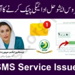 8171 SMS Service 2025 Issue – Alternative Method to Check BISP 13500 Payment