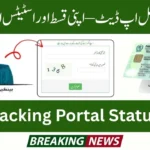 8171 Tracking Portal 2025 Status Check Online Using CNIC (Complete Guide)
