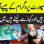BISP 2025 Online Registration – How to Receive Payment Easily in Pakistan
