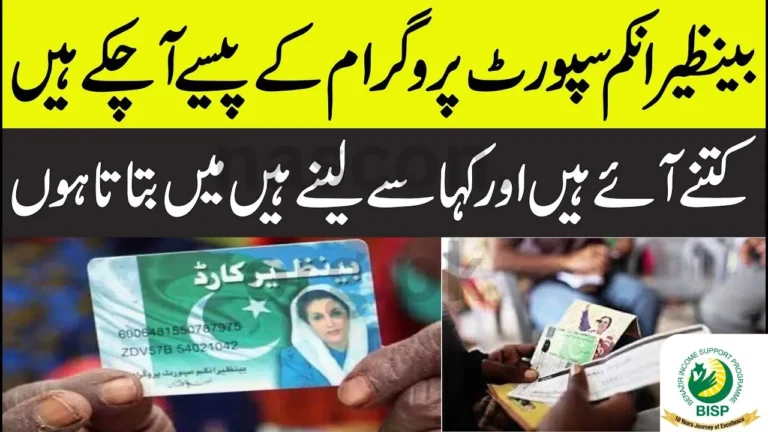 BISP 2025 Online Registration – How to Receive Payment Easily in Pakistan