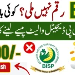 BISP 8171 Digital Wallet Launched for 10 Million Families in Pakistan 2025