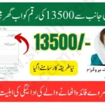 BISP Payment Tracking CNIC 2025: Check Online 8171 Payment Status Latest Method in 2025