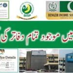 BISP Tehsil Office Locations and Services 2025 – Complete Guide