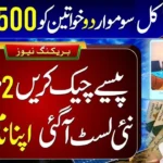 Big News: 8171 Ehsaas Program 2025 – Check Rs. 13,500 Payment in Digital Wallet