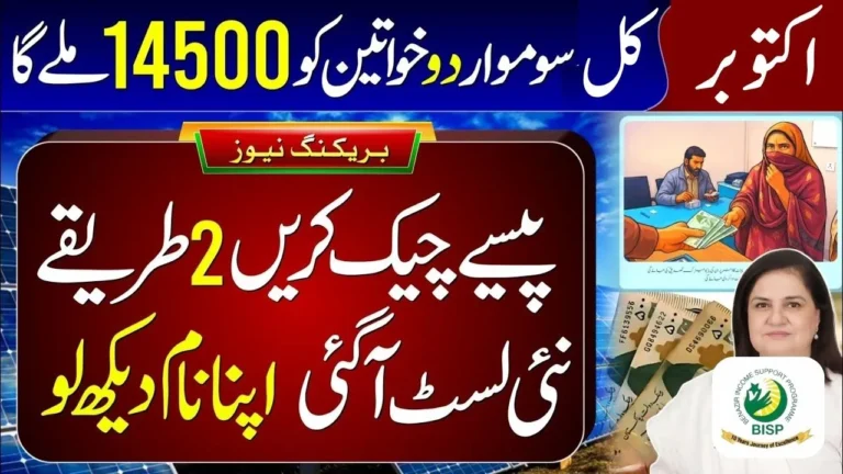 Big News: 8171 Ehsaas Program 2025 – Check Rs. 13,500 Payment in Digital Wallet