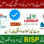 How Can I Receive My BISP or Ehsaas Payment? (Complete 2025 Guide)
