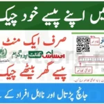 How to Check Ehsaas Kafalat Payment 2025 Online in 1 Minute – New Portal Guide