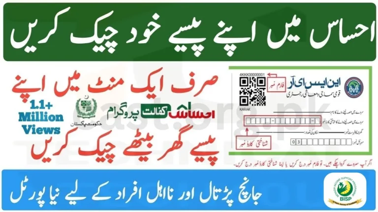 How to Check Ehsaas Kafalat Payment 2025 Online in 1 Minute – New Portal Guide