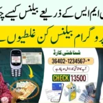 How to Check Ehsaas Program Balance 2025 via 8171 SMS | Latest Update Pakistan