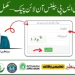 www.bisp.gov.pk Check Balance Online 2025 | BISP 8171 Portal Guide