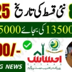 Ehsaas 8171 November 2025 Payment Check | CNIC Verification & Rs. 25,000 Relief Update